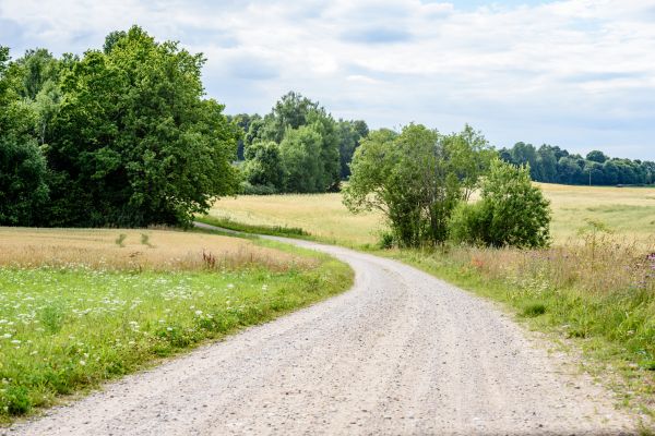 Cost of Stone Driveway Repair in Mount Pleasant