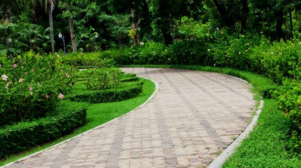 Cost of Paver Walkway Repair in Mount Pleasant
