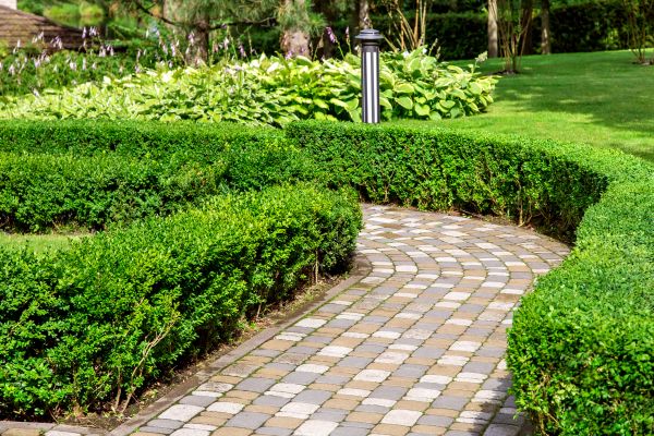 Cost of Paved Landscaping in Mount Pleasant