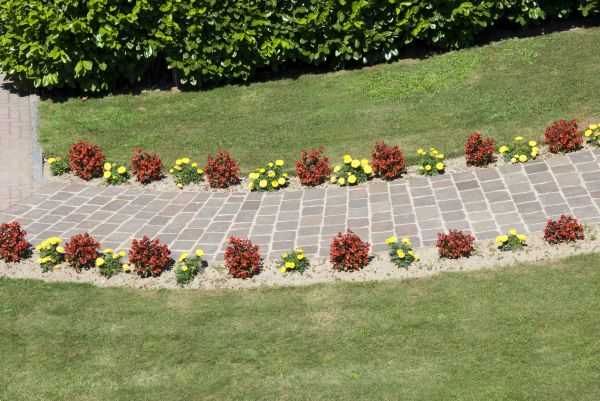 Cost of Garden Paving in Mount Pleasant