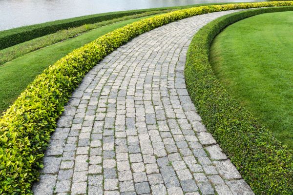 Cost of Sidewalk Pavers Installation in Mount Pleasant