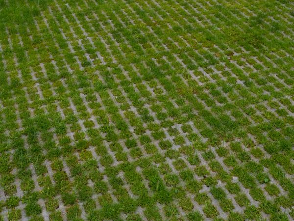 Cost of Permeable Pavement Service in Mount Pleasant