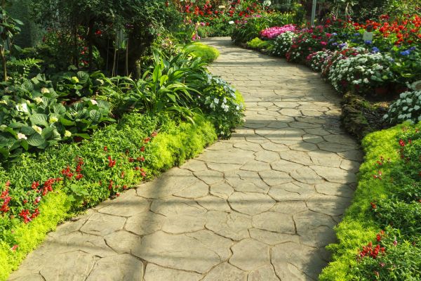 Cost of Stone Pathway Service in Mount Pleasant